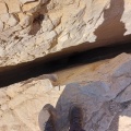 תמונה ממוזערת לגרסה מתאריך 06:40, 29 במרץ 2023