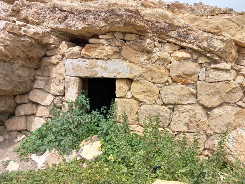 קובץ:2023-04-08T13 07 35.497111336633.jpg