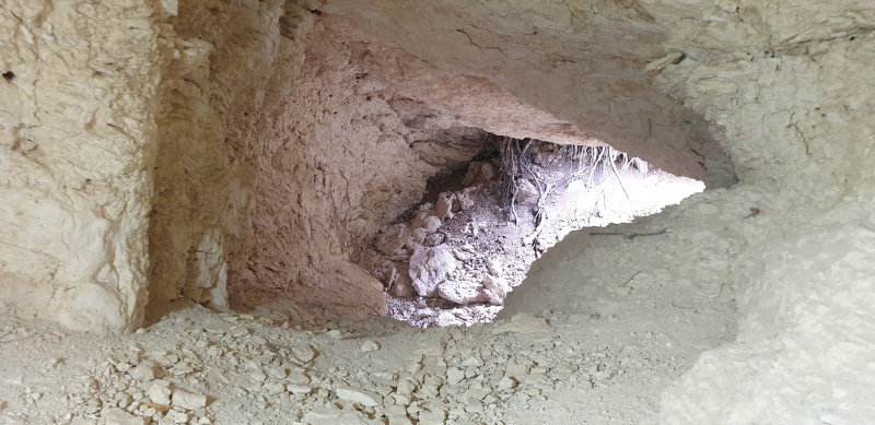 קובץ:2023-04-08T14 22 54.512150459924.jpg