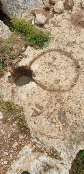 קובץ:2023-04-10T12 24 18.003783413548.jpg