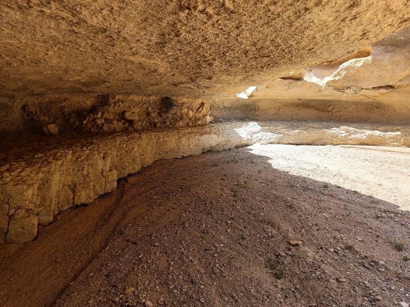 קובץ:2023-04-17T13 13 20.692484964947.jpg