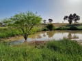 תמונה ממוזערת לגרסה מתאריך 14:52, 18 באפריל 2023