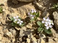 תמונה ממוזערת לגרסה מתאריך 07:11, 22 באפריל 2023