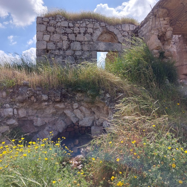 קובץ:2023-04-30T09 59 26.422802371600.jpg