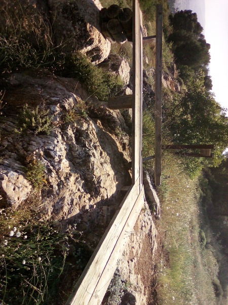 קובץ:2023-05-02T16 10 24.408167816990.jpg