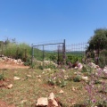 תמונה ממוזערת לגרסה מתאריך 11:32, 10 במאי 2023