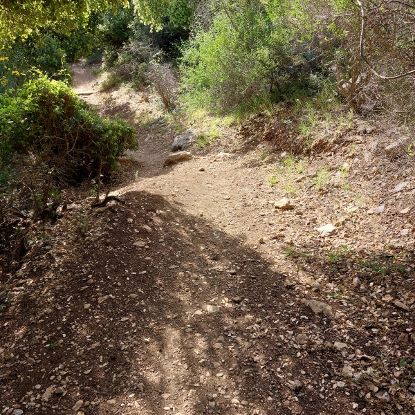 קובץ:2023-05-15T07 52 33.239307400669.jpg