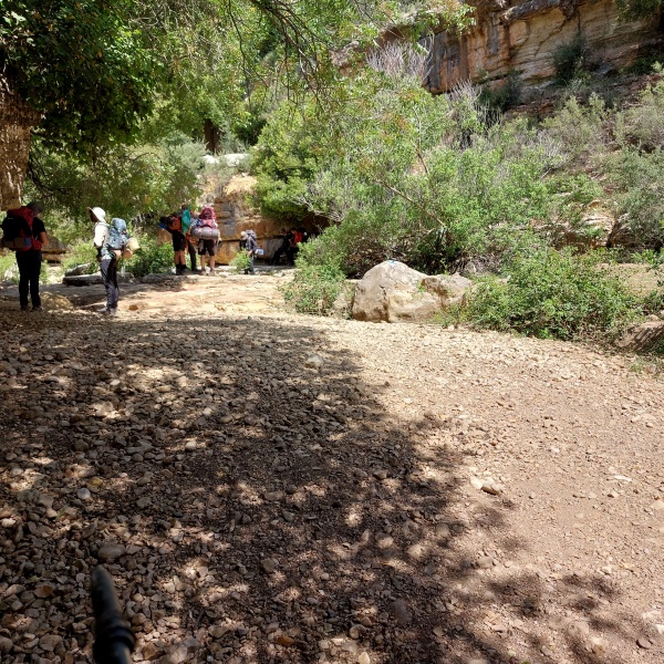 קובץ:2023-05-15T10 39 33.39575716269.jpg