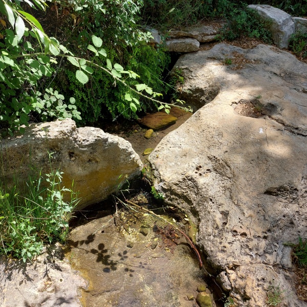 קובץ:2023-05-15T11 34 23.368359516450.jpg