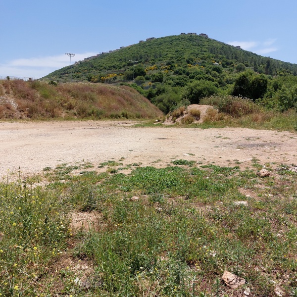 קובץ:2023-05-15T12 16 13.4458353583.jpg