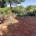 תמונה ממוזערת לגרסה מתאריך 06:58, 16 במאי 2023