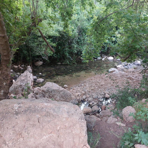 קובץ:2023-05-18T07 44 03.228605198498.jpg
