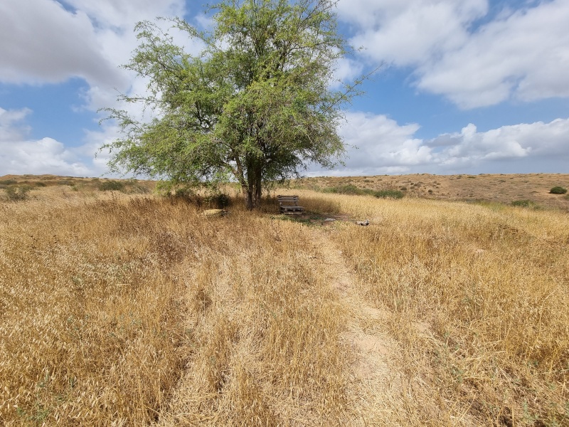 קובץ:2023-05-19T09 57 33.231373906680.jpg