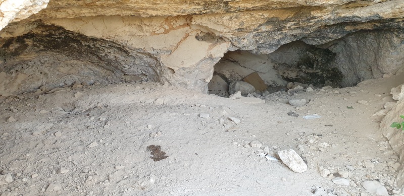 קובץ:2023-05-19T17 55 10.402161880493.jpg