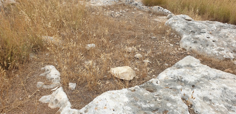קובץ:2023-05-27T14 22 23.862344404676.jpg