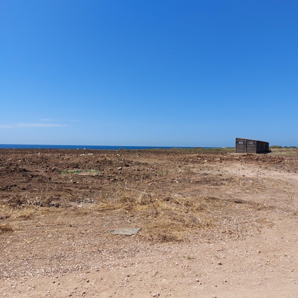 קובץ:2023-05-31T14 36 29.818465512544.jpg