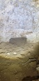 תמונה ממוזערת לגרסה מתאריך 16:42, 11 ביוני 2023
