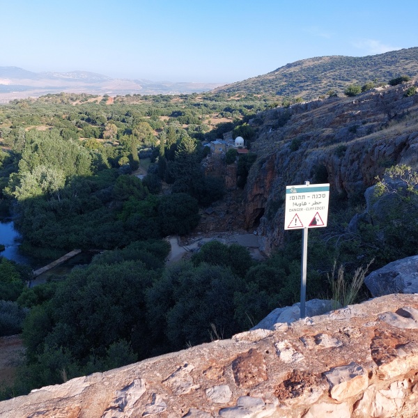 קובץ:2023-06-13T06 56 40.249801832054.jpg