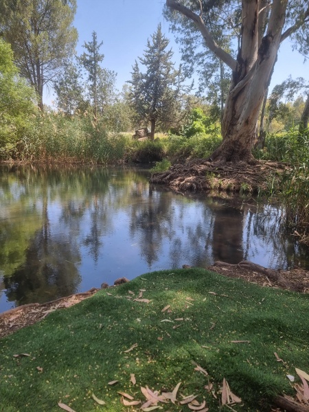 קובץ:2023-06-14T11 15 23.414112941039.jpg