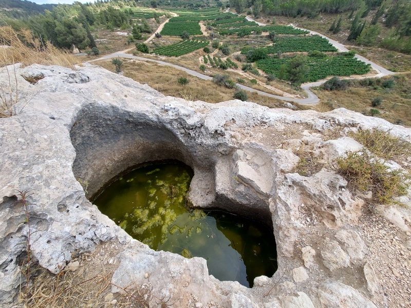 קובץ:2023-06-20T16 05 34.604825680556.jpg