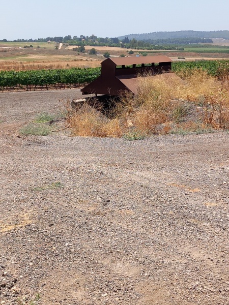 קובץ:2023-07-03T13 14 14.016458592952.jpg