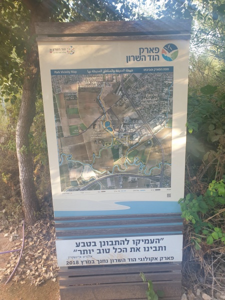 קובץ:2023-07-11T18 32 03.356132604931.jpg