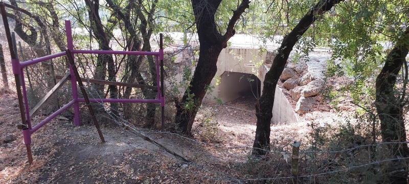 קובץ:2023-07-21T07 47 58.538799748596.jpg