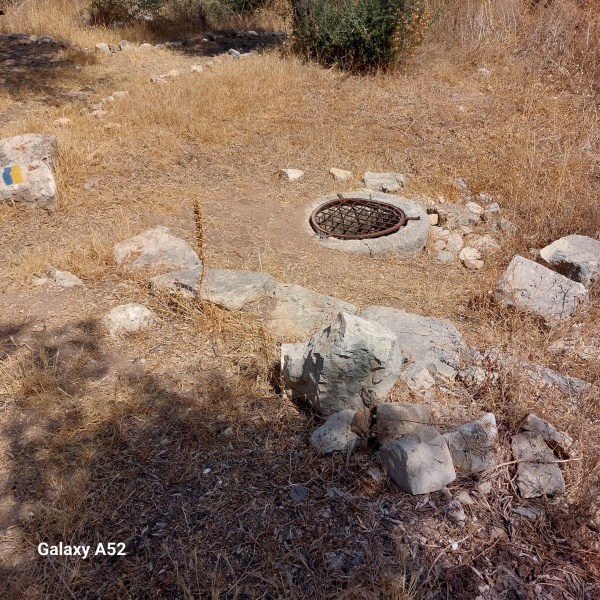 קובץ:2023-08-12T10 58 04.244958532921.jpg