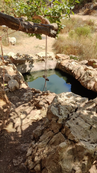 קובץ:2023-09-22T12 48 51.256223828043.jpg