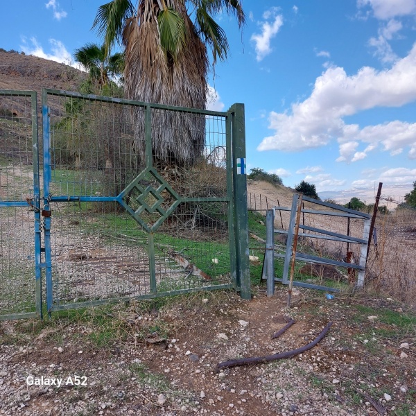 קובץ:2023-11-21T11 52 45.216523806359.jpg