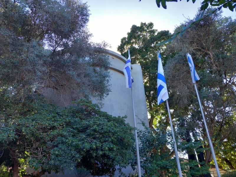 קובץ:2023-11-21T13 28 27.420734616369.jpg