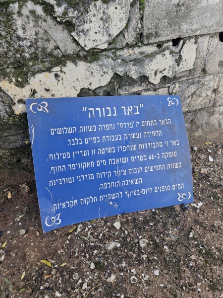 קובץ:2023-11-27T16 13 38.524542564924.jpg