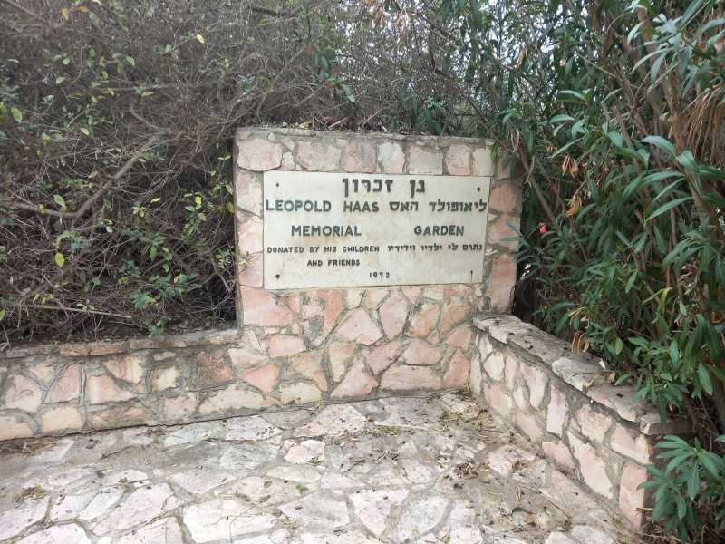 קובץ:2023-12-05T09 57 44.772051433559.jpg