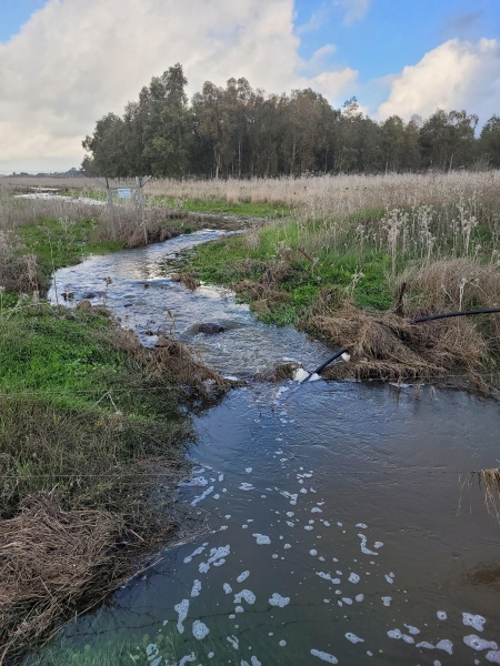 קובץ:2023-12-24T13 56 28.406381532069.jpg