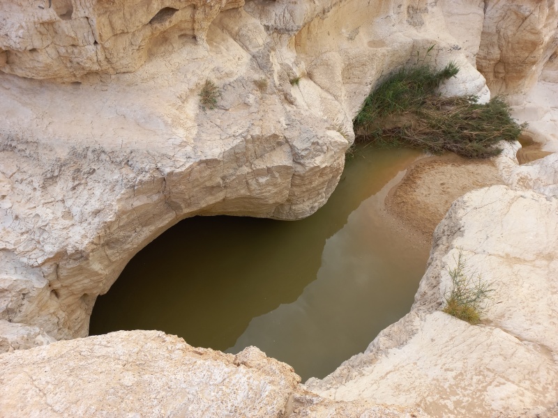 קובץ:2024-01-14T10 45 55.545816290179.jpg