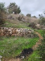 תמונה ממוזערת לגרסה מתאריך 19:40, 23 בינואר 2024