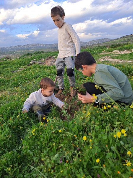 קובץ:2024-01-21T16 35 19.057743154142.jpg