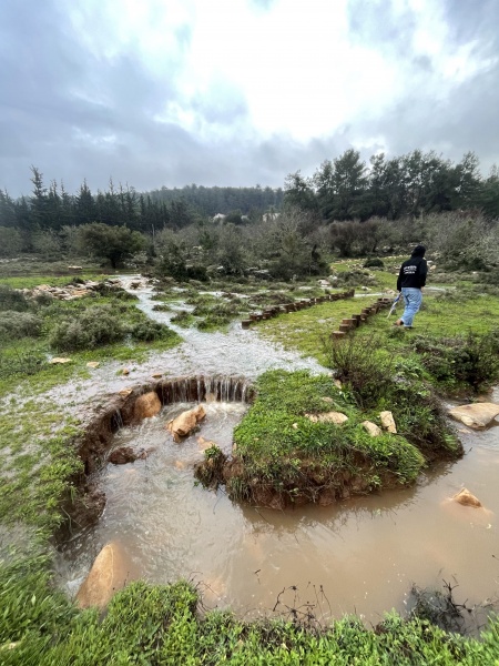 קובץ:2024-01-27T16 11 39.029844929604.jpg