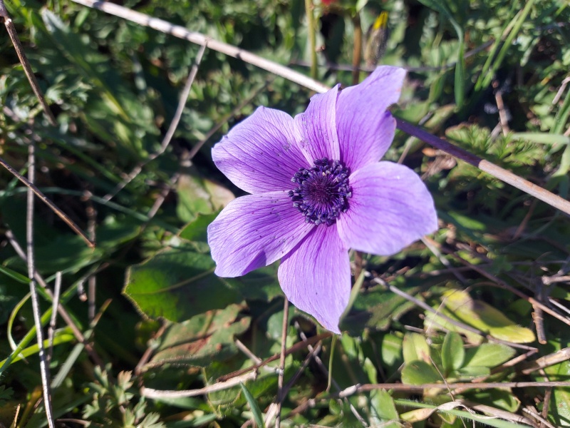 קובץ:2024-02-08T09 01 46.933456299967.jpg