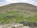 תמונה ממוזערת לגרסה מתאריך 14:00, 12 בפברואר 2024