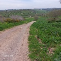 תמונה ממוזערת לגרסה מתאריך 14:25, 13 בפברואר 2024