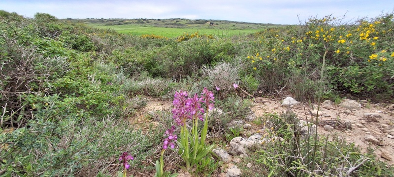 קובץ:2024-02-24T11 07 32.920781146904.jpg