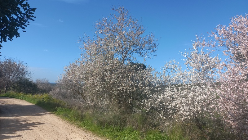 קובץ:2024-02-24T14 53 44.049056410157.jpg