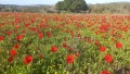 תמונה ממוזערת לגרסה מתאריך 16:20, 24 בפברואר 2024