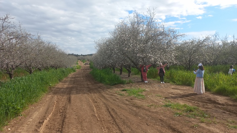 קובץ:2024-02-24T18 49 37.343931493055.jpg