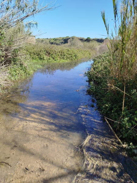 קובץ:2024-02-29T10 26 28.528253311201.jpg