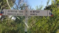 תמונה ממוזערת לגרסה מתאריך 13:00, 1 במרץ 2024