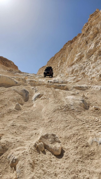 קובץ:2024-03-03T18 46 26.634671726524.jpg