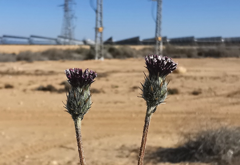 קובץ:2024-03-05T08 26 09.009035192161.jpg