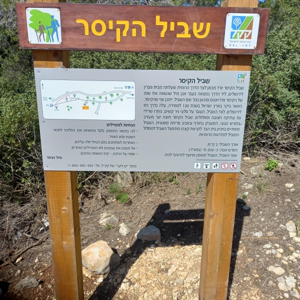 קובץ:2024-03-05T10 19 20.282215390697.jpg